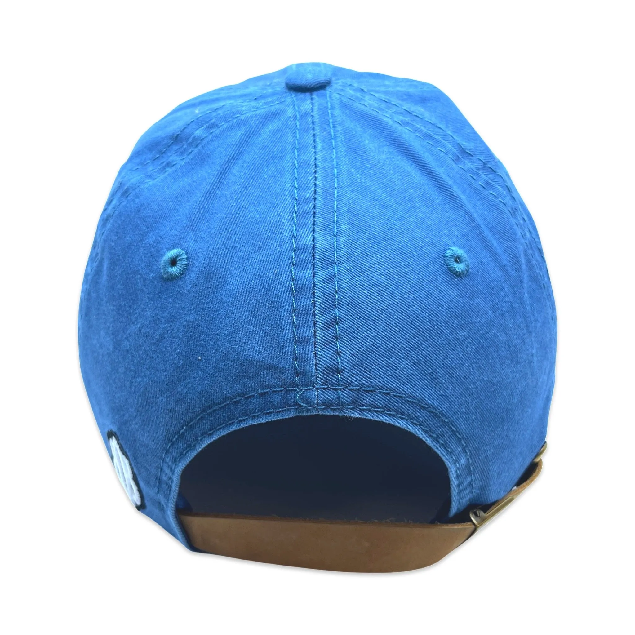 Hawaiian Islands Dad Hat