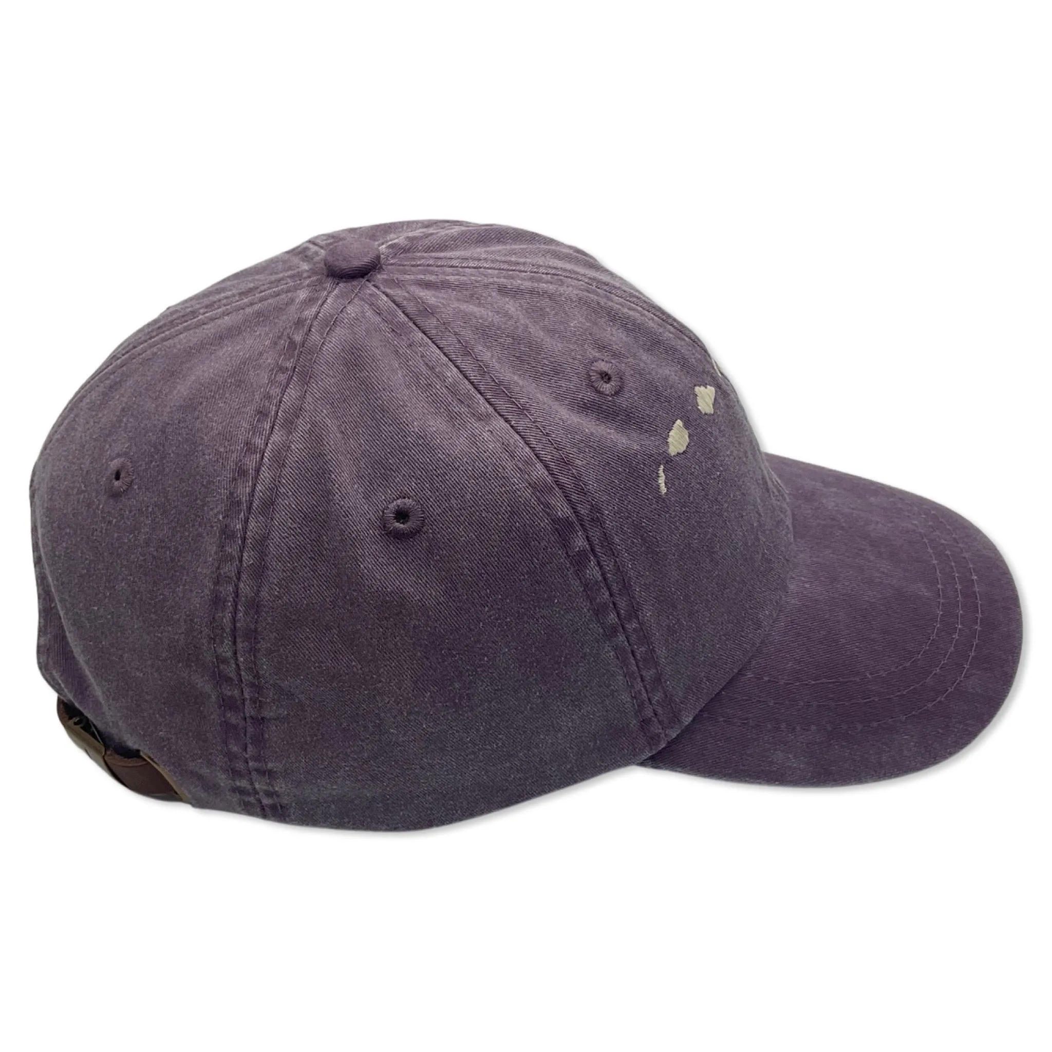 Hawaiian Islands Dad Hat